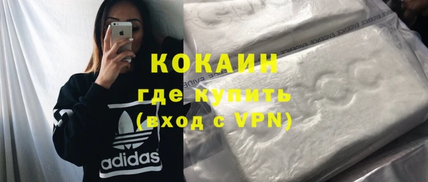 гидра Володарск