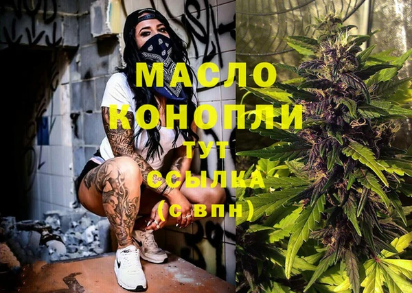 гидра Володарск