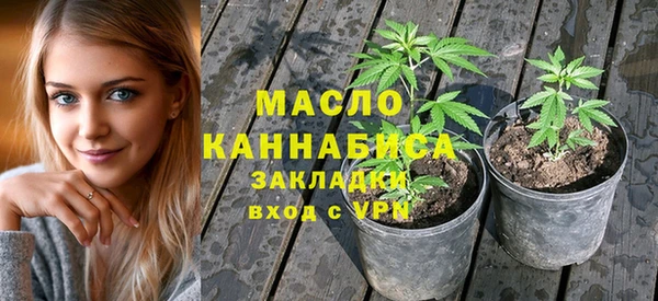 гидра Володарск